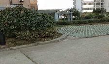 官方爆料枫丹实景视频大全,全景呈现梦幻仙境