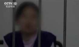 阳江隔离爆料事件始末视频,真相与争议的交织
