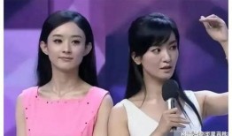 娱乐圈吃瓜论坛有哪些,揭秘明星幕后故事与八卦风云