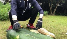 d社新瓜最新爆料,明星隐私大揭秘，最新瓜料震惊娱乐圈