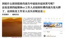娱乐记者爆料肖战事件视频,娱乐记者揭秘事件背后真相