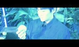 夏夜 在线观看,在线观影指南