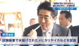 东京新闻爆料福岛视频,独家视频曝光