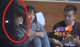 苏醒朋友爆料视频下载,揭秘幕后故事