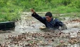 泥潭老哥爆料视频大全集,揭秘幕后真相与精彩瞬间