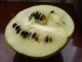 免费吃籽瓜,夏日清凉好礼来袭！