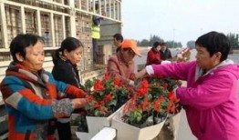 渭南新闻爆料,最新爆料揭示城市动态