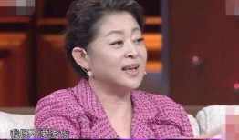 倪萍姐姐爆料视频大全下载,揭秘娱乐圈不为人知的一面