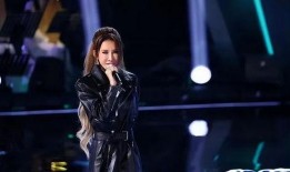 李玟粉丝爆料事件视频,揭秘背后真相