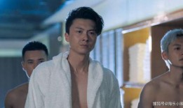 反黑第九集在线观看,暗流涌动，正义与邪恶的较量