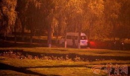 我的夜晚在线观看56,揭秘神秘网络世界的奇幻之旅