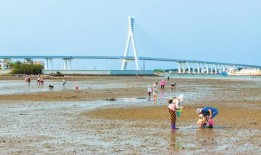 海南赶海爆料视频播放网站,揭秘海洋宝藏的实时直播之旅