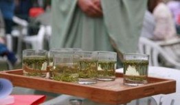 杭州女子爆料喝茶视频,一幕幕真实生活场景曝光