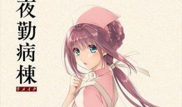 夜勤 病栋 在线观看,揭秘医院深夜秘密的在线直播之旅