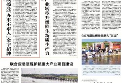 岳阳头条最新爆料临湘市,临湘市最新动态揭秘！”