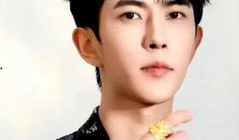 娱乐圈男明星最新爆料,揭秘明星圈层内幕与真实生活