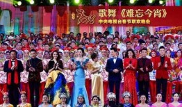 各家艺人春晚爆料视频