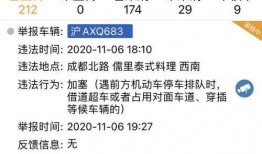 网友发视频爆料违法吗怎么举报,网友爆料违法？揭秘举报途径与注意事项