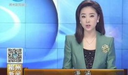 揭阳最新爆料新闻事件视频