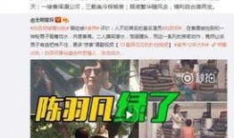 卓伟爆料完整视频,完整视频揭秘事件真相