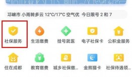 成都视频消费爆料平台电话,揭秘热线背后的消费秘密