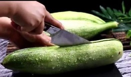 网红吃1000多的瓜,品味奢华美食之旅