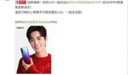 博肖真假主播爆料视频,视频爆料背后的真相与疑云