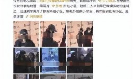 内娱人士爆料白鹿事件视频,真相揭秘