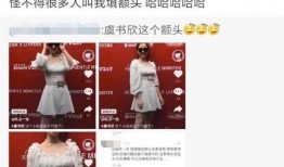 娱乐圈 爆料书,揭秘明星背后的秘密与真相