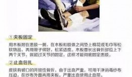 重庆王师傅爆料视频最新,揭秘城市生活背后不为人知的真相