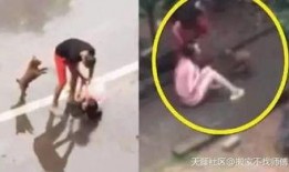 重庆爆料男子被打视频曝光,街头暴力事件引发关注