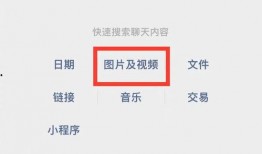 新春爆料最新消息视频播放,新春爆料！最新消息视频播放精彩内容抢先看