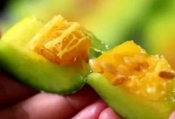 网红吃1000多的瓜,品味奢华美食之旅