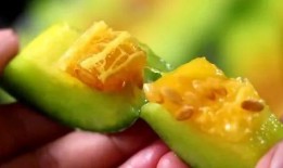 网红吃1000多的瓜,品味奢华美食之旅