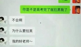 聊天记录吃瓜免费,吃瓜免费背后的真相大揭秘