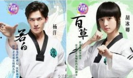 旋风少女在线观看全集,青春热血，舞动青春梦想