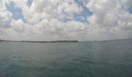 海南赶海爆料视频播放网站,揭秘海洋宝藏的实时直播之旅