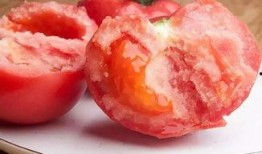 网红西红柿吃瓜,揭秘娱乐圈幕后真相