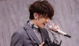 金星和哥哥最新爆料,揭秘哥哥背后的惊人真相