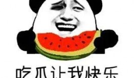 娱乐吃瓜酱学医的意义,趣味学医新风尚