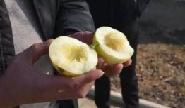 甜瓜娱乐场爆料,明星幕后故事大揭秘