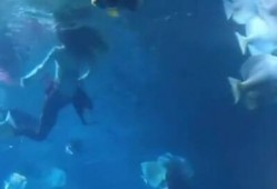 美人鱼出场爆料视频,奇幻海洋世界揭开神秘面纱