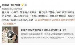 爆料剧情视频,视频爆料揭示剧情高潮转折