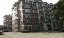 官方爆料枫丹实景视频大全,全景呈现梦幻仙境