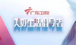 广东卫视恩平爆料新闻,揭秘当地重大事件背后的真相