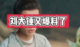 刘大锤八卦爆料视频