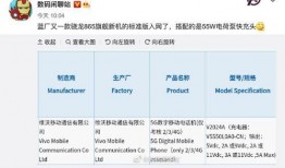 爆料视频结构分析,深度解析其核心要素与传播策略