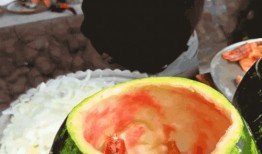 宁夏网红吃瓜事件真相揭秘,揭秘背后真相与争议