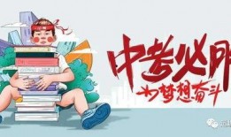 白术爆料最新消息视频,揭秘视频背后的惊人真相