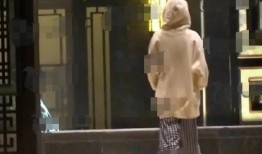 前男友爆料前女友视频,真相与争议并存